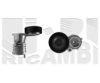 AUTOTEAM A06696 Belt Tensioner, v-ribbed belt